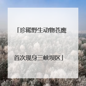珍稀野生动物苍鹰首次现身三峡坝区