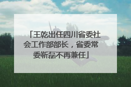 王乾出任四川省委社会工作部部长，省委常委靳磊不再兼任
