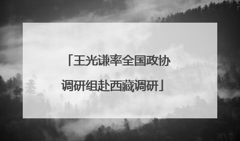 王光谦率全国政协调研组赴西藏调研