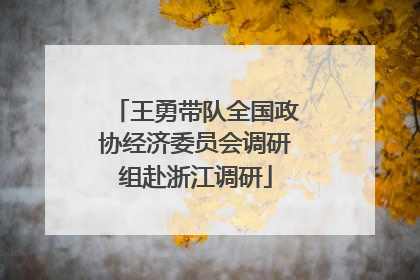 王勇带队全国政协经济委员会调研组赴浙江调研