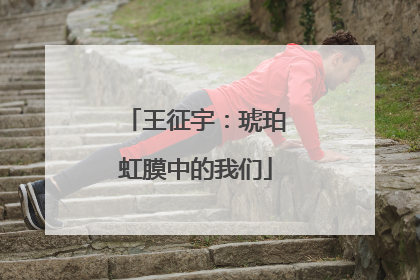 王征宇：琥珀虹膜中的我们