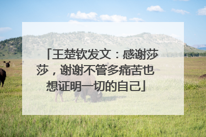 王楚钦发文：感谢莎莎，谢谢不管多痛苦也想证明一切的自己