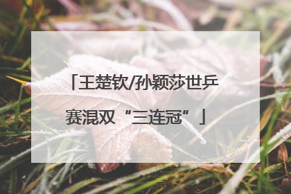 王楚钦/孙颖莎世乒赛混双“三连冠”