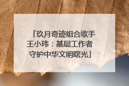 玖月奇迹组合歌手王小玮：基层工作者守护中华文明曙光