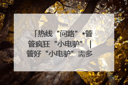热线“问路”•管管疯狂“小电驴”｜管好“小电驴”需多部门形成合力