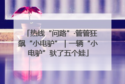 热线“问路”·管管狂飙“小电驴”｜一辆“小电驴”驮了五个娃