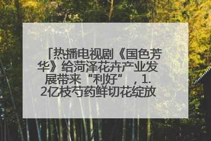 热播电视剧《国色芳华》给菏泽花卉产业发展带来“利好”，1.2亿枝芍药鲜切花绽放“国色芳华”
