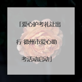 爱心护考礼让出行 德州市爱心助考活动启动