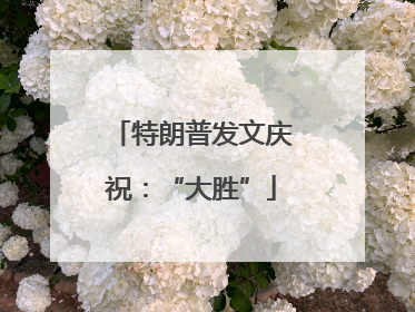 特朗普发文庆祝：“大胜”