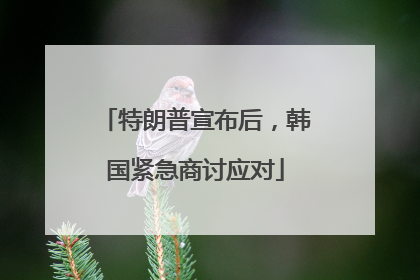 特朗普宣布后，韩国紧急商讨应对