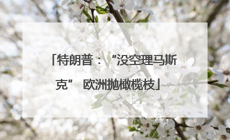 特朗普：“没空理马斯克” 欧洲抛橄榄枝
