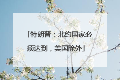 特朗普：北约国家必须达到，美国除外