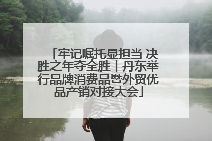 牢记嘱托显担当 决胜之年夺全胜丨丹东举行品牌消费品暨外贸优品产销对接大会