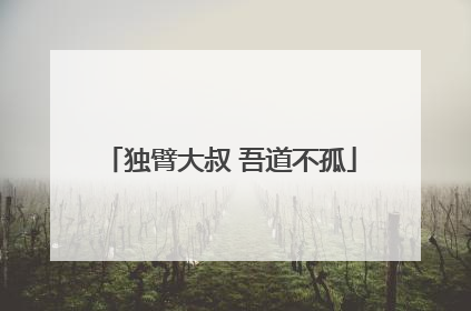 独臂大叔 吾道不孤