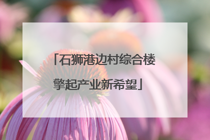 石狮港边村综合楼擎起产业新希望