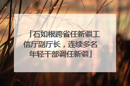 石如根跨省任新疆工信厅副厅长，连续多名年轻干部调任新疆