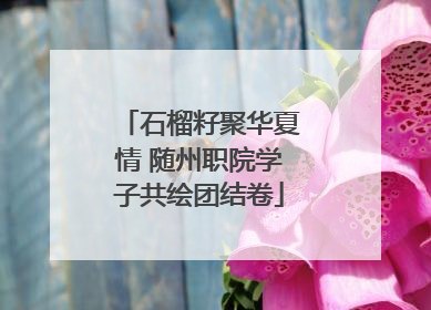 石榴籽聚华夏情 随州职院学子共绘团结卷