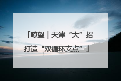 瞭望｜天津“大”招打造“双循环支点”
