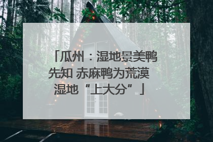 瓜州：湿地景美鸭先知 赤麻鸭为荒漠湿地“上大分”