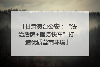 甘肃灵台公安：“法治盾牌+服务快车”打造优质营商环境