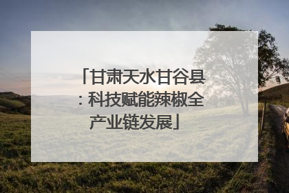 甘肃天水甘谷县：科技赋能辣椒全产业链发展