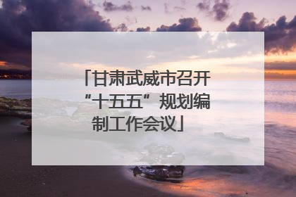 甘肃武威市召开“十五五”规划编制工作会议