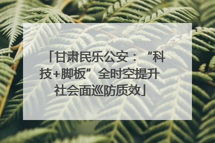甘肃民乐公安：“科技+脚板”全时空提升社会面巡防质效