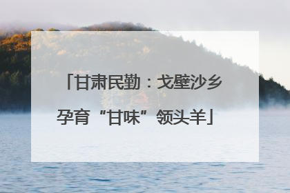 甘肃民勤：戈壁沙乡孕育“甘味”领头羊