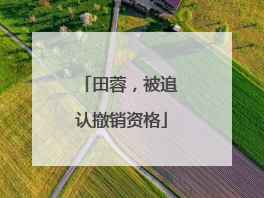 田蓉，被追认撤销资格