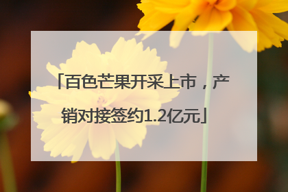 百色芒果开采上市，产销对接签约1.2亿元