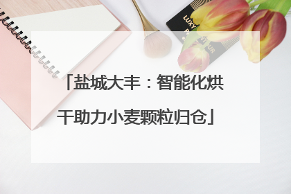 盐城大丰：智能化烘干助力小麦颗粒归仓