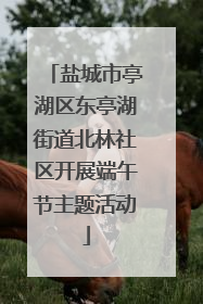 盐城市亭湖区东亭湖街道北林社区开展端午节主题活动