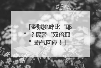 盗贼挑衅比“耶”？民警“双倍耶”霸气回应！