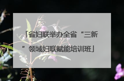 省妇联举办全省“三新”领域妇联赋能培训班
