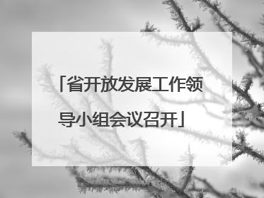 省开放发展工作领导小组会议召开