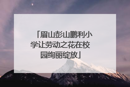 眉山彭山鹏利小学让劳动之花在校园绚丽绽放