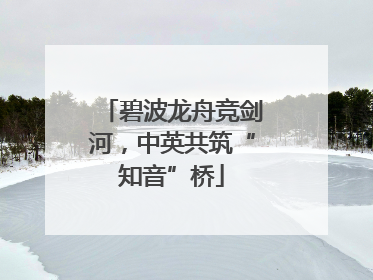 碧波龙舟竞剑河，中英共筑“知音”桥
