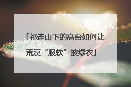 祁连山下的高台如何让荒漠“服软”披绿衣