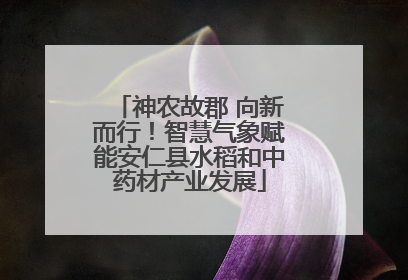 神农故郡 向新而行！智慧气象赋能安仁县水稻和中药材产业发展