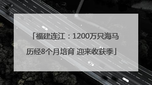 福建连江：1200万只海马历经8个月培育 迎来收获季