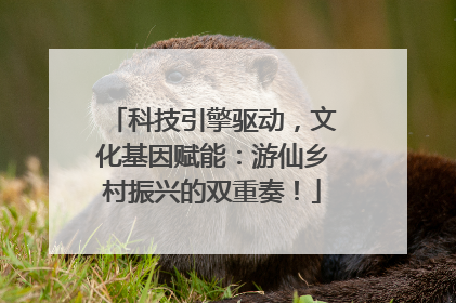 科技引擎驱动，文化基因赋能：游仙乡村振兴的双重奏！