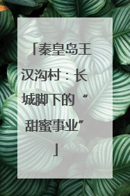 秦皇岛王汉沟村：长城脚下的“甜蜜事业”