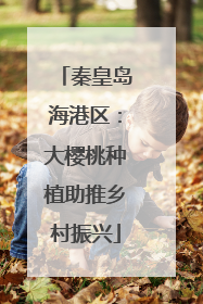 秦皇岛海港区：大樱桃种植助推乡村振兴