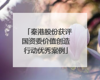 秦港股份获评国资委价值创造行动优秀案例