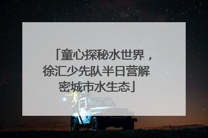 童心探秘水世界，徐汇少先队半日营解密城市水生态
