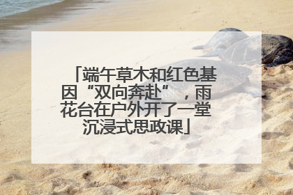 端午草木和红色基因“双向奔赴”，雨花台在户外开了一堂沉浸式思政课