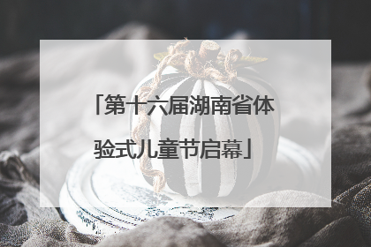 第十六届湖南省体验式儿童节启幕