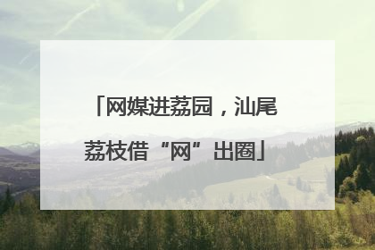 网媒进荔园，汕尾荔枝借“网”出圈