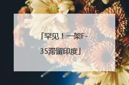 罕见！一架F-35滞留印度