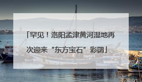 罕见！洛阳孟津黄河湿地再次迎来“东方宝石”彩鹮